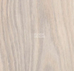 Кварцвиниловые полы Forbo Effekta Intense 40215 P Creme Rustic Oak INT фото 1 | FLOORDEALER